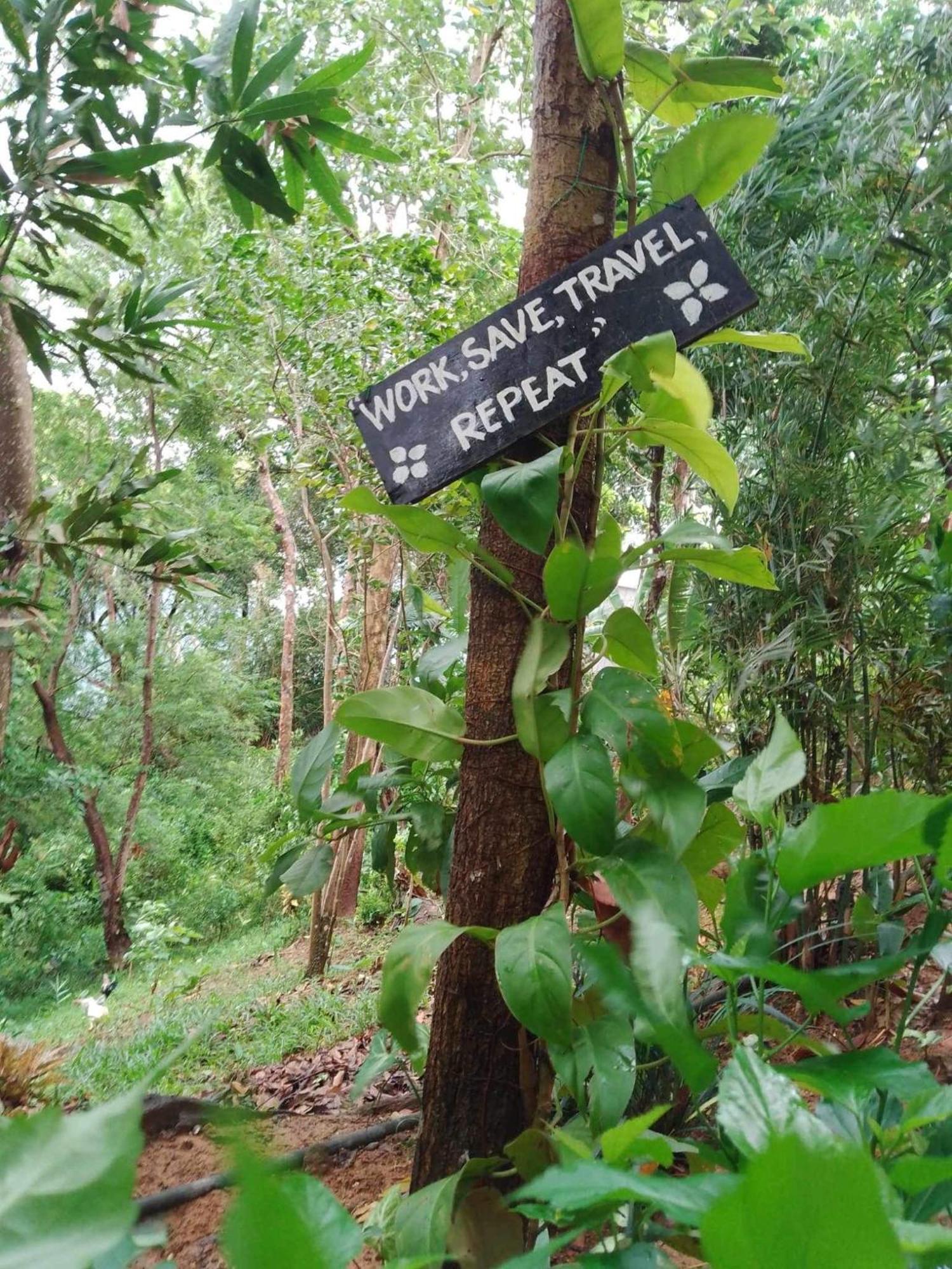 Camp Talusi Hilltop Overlooking 爱妮岛 外观 照片