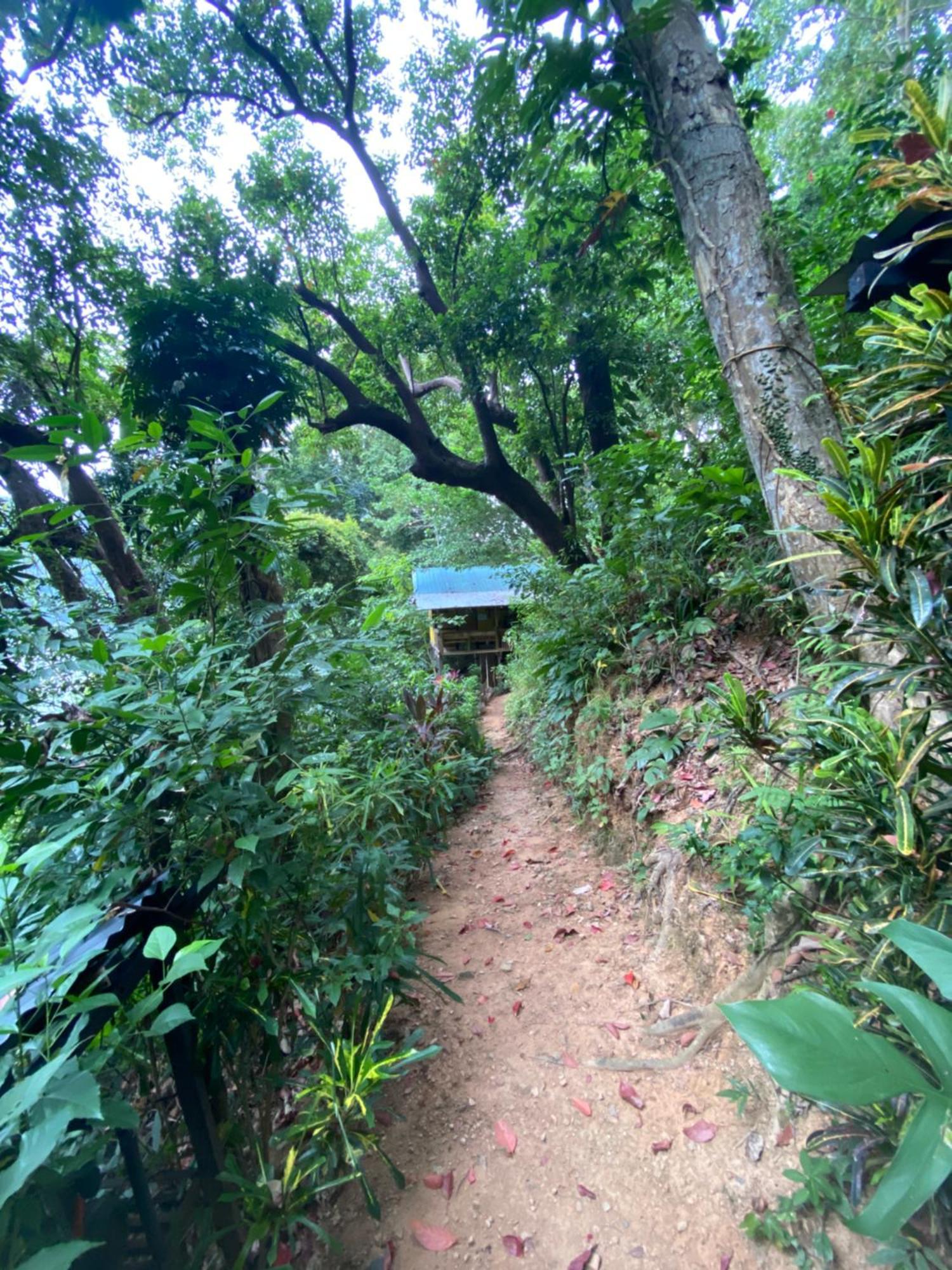 Camp Talusi Hilltop Overlooking 爱妮岛 外观 照片