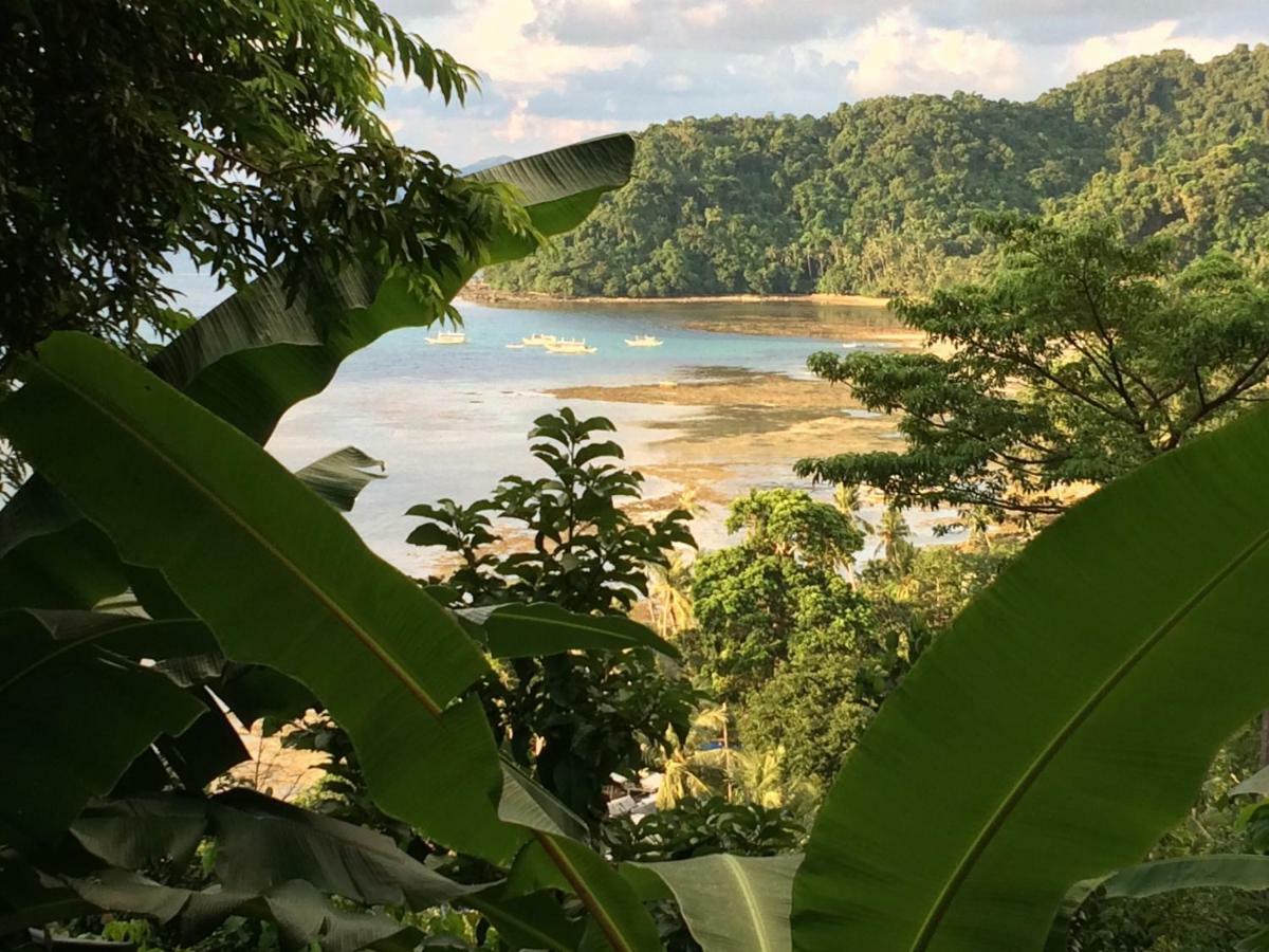 Camp Talusi Hilltop Overlooking 爱妮岛 外观 照片