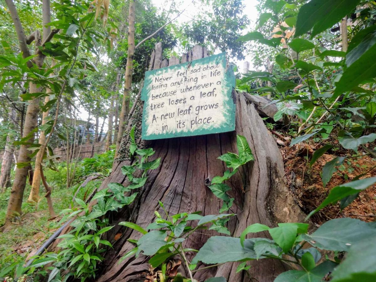 Camp Talusi Hilltop Overlooking 爱妮岛 外观 照片