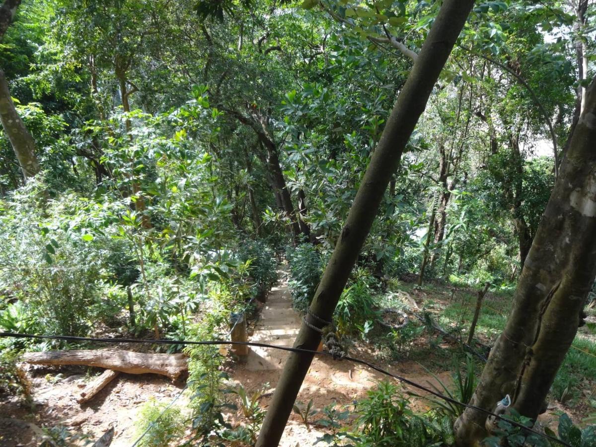 Camp Talusi Hilltop Overlooking 爱妮岛 外观 照片