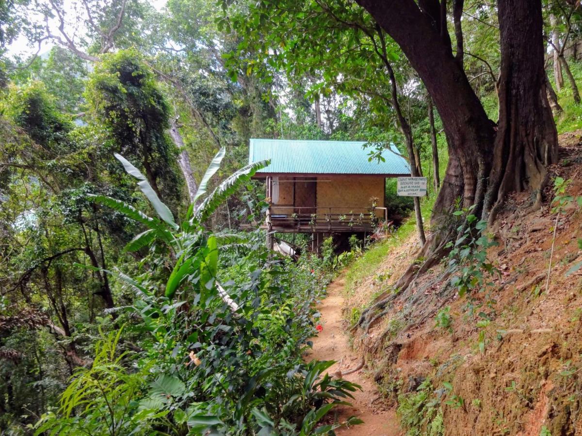 Camp Talusi Hilltop Overlooking 爱妮岛 外观 照片